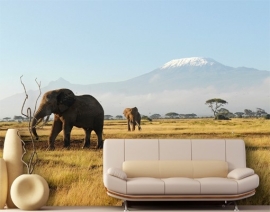 Mantiburi olifant Fotobehang Kilimanjaro Elephants 81