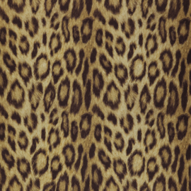 luipaard panter behang