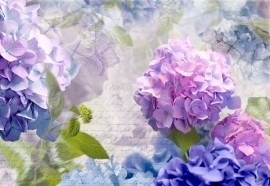 8-705 Komar Fotobehang Otaksa lila blauw paars bloemen behang