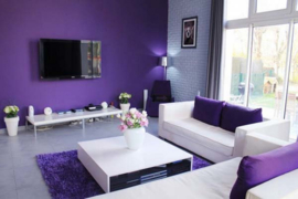 Paars vliesbehang trendy 236637