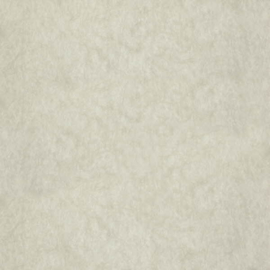 Dutch First Class Chroma behang 17-Linen