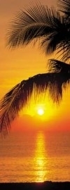 2-1255 Komar Fotobehang Palmy Beach Sunrise tropische kleuren behang
