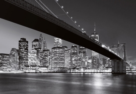 foto behang Idealdecor Manhattan Skyline 140