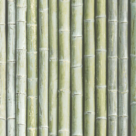 bamboe behang g67941