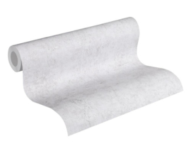 AS Creation Beton behang 36911-4