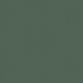 AS Creation trendwall 2 groen behang 37974-0