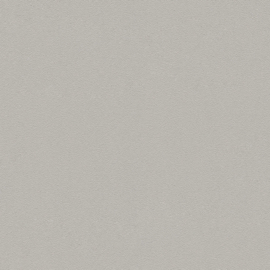 AS Creation Trendwall behang 37272-1