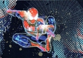 Spiderman Neon 1-426 fotobehang
