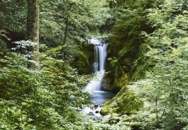 foto behang Idealdecor Waterfall in Spring 279