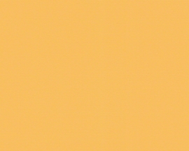 938075 oranje modern effen behang