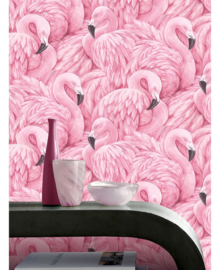 flamingo behang xxx1