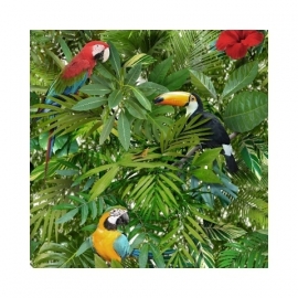 behang tropical jungle papegaai vogel behang 102555