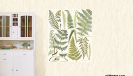 Eijffinger Geonature Wallpower 366102 Athyrium
