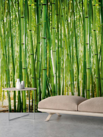 Dutch Wallcoverings One Roll One Motif behang Bamboo A36901