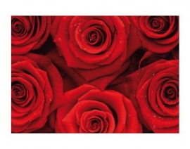 Mantiburi rozen Fotobehang Sea of Roses 37