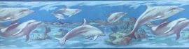 dolfijn behangrand  07
