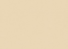 93548-5 creme  versace behang