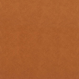 Dutch First Class Chroma behang 38-Copper