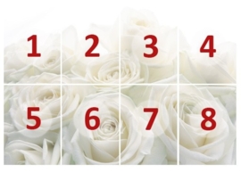 Mantiburi rozen Fotobehang Wedding Roses 17