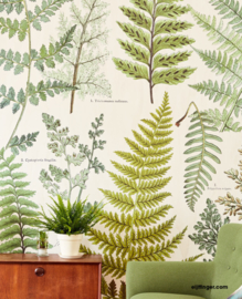 Eijffinger Geonature Wallpower 366104 Hebarium Green