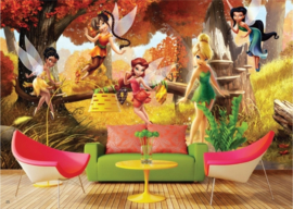 AG Design Fotobehang Disney Fairies FTD0251