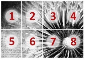 Photo wall mural no.83 "DANDELION POEMS" 400x280cm