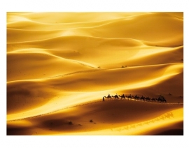 Mantiburi gouden duinen Fotobehang Golden Dunes 50