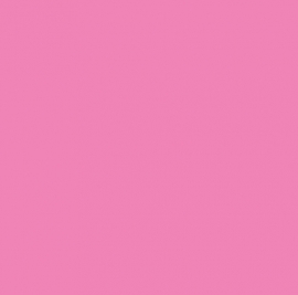 Bluuming Affairs 44606 behang unie ROZE
