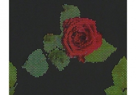 Patroonbehang Lars Contzen Behang Rendez-vous Roses Zwart, Groen, Rood