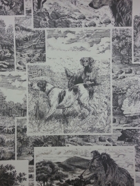 819809 speurhonden jachthonden zwart creme honden behang
