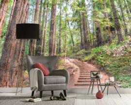 Livingwalls Fotobehang natuur Designwalls  DD118626