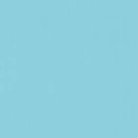 blauw behang  xxxt5