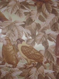papegaai bruin creme bronz vogels dierenprint behang 46