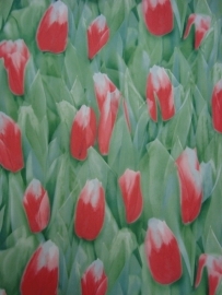 behang tulpen groen rood roze 0599