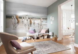 Komar Fotobehang White Horses 8-986