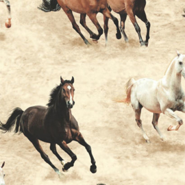 Paarden behang A11708