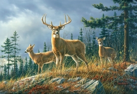 foto behang Idealdecor Autumn Whitetails 151