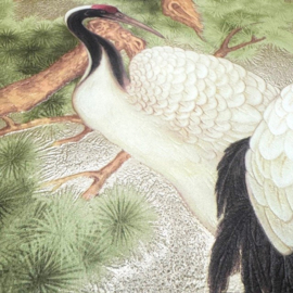 Kraanvogels behang romantisch oosters chinees japans