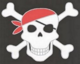 jongens behangrand piraten tiener