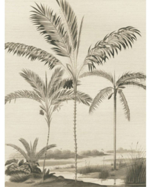 Eijffinger Oasis Wallpower Palm Portrait Black and White 317407