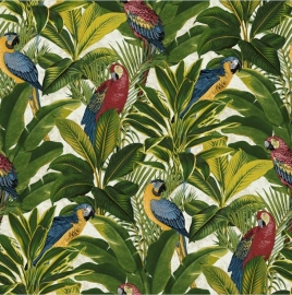 Exotic behang papegaai  A11502