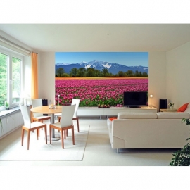 foto behang Idealdecor Tulips 137