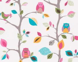 uilen vogels takken dieren behang 8563-26