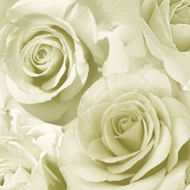 roses rozen 3d romantisch modern trendy behang xx58