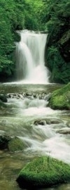 2-1047 Komar Fotobehang Ellowa Falls waterval groen behang