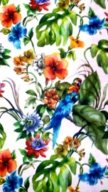 papegaai vogel dieren tropisch behang 3d x54