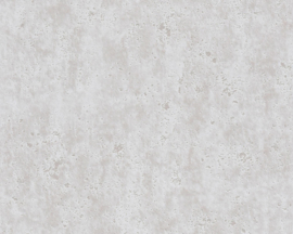 AS Creation Beton behang 36600-1