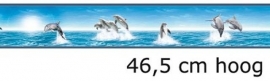 80011DW dolfijn behangrand rand