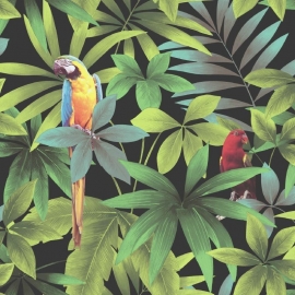 papegaai vogel behang blauw groen rood  vinyl xx76