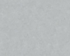 AS Creation Beton behang 36313-4